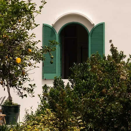 Designer House By Elite Capri