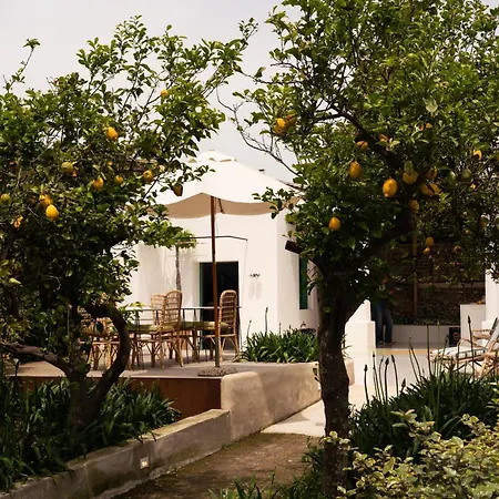 Designer House By Elite Capri